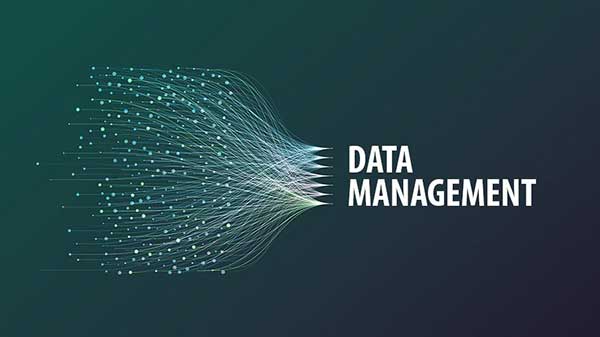 Image Blog Portugal Data management